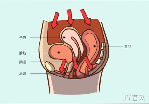 助力女性盆底功能健康发展，J9官网推出高频评估电灼仪